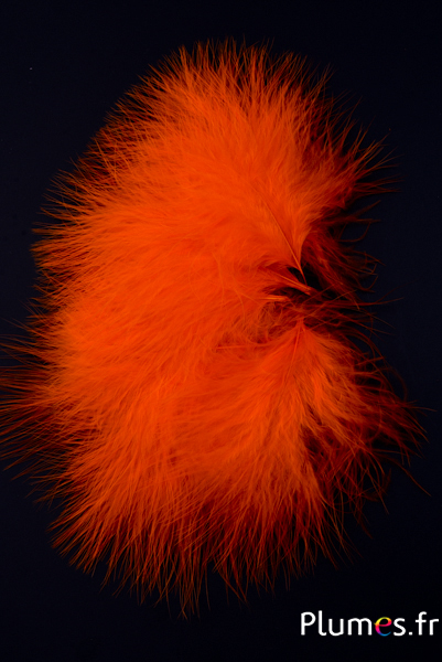 Dinde marabout - 8-12 cm - orange sanguin